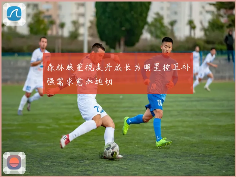 森林狼重视麦丹成长为明星控卫补强需求愈加迫切
