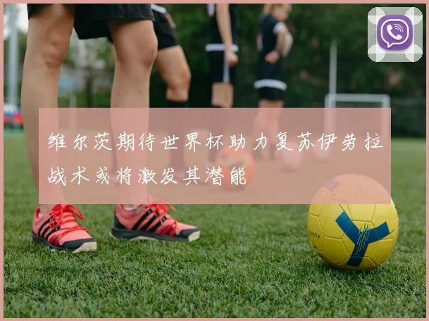 维尔茨期待世界杯助力复苏伊劳拉战术或将激发其潜能